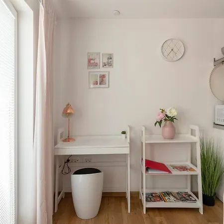Rosegold Free Parking Bikes Washer&dryer Λιουμπλιάνα